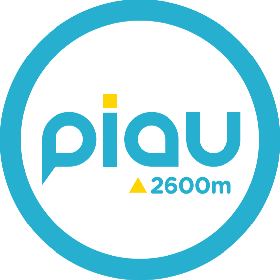 Logo Station Piau Engaly